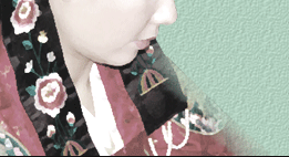 ͳݹ պ¹